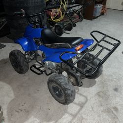Taotao Atv 