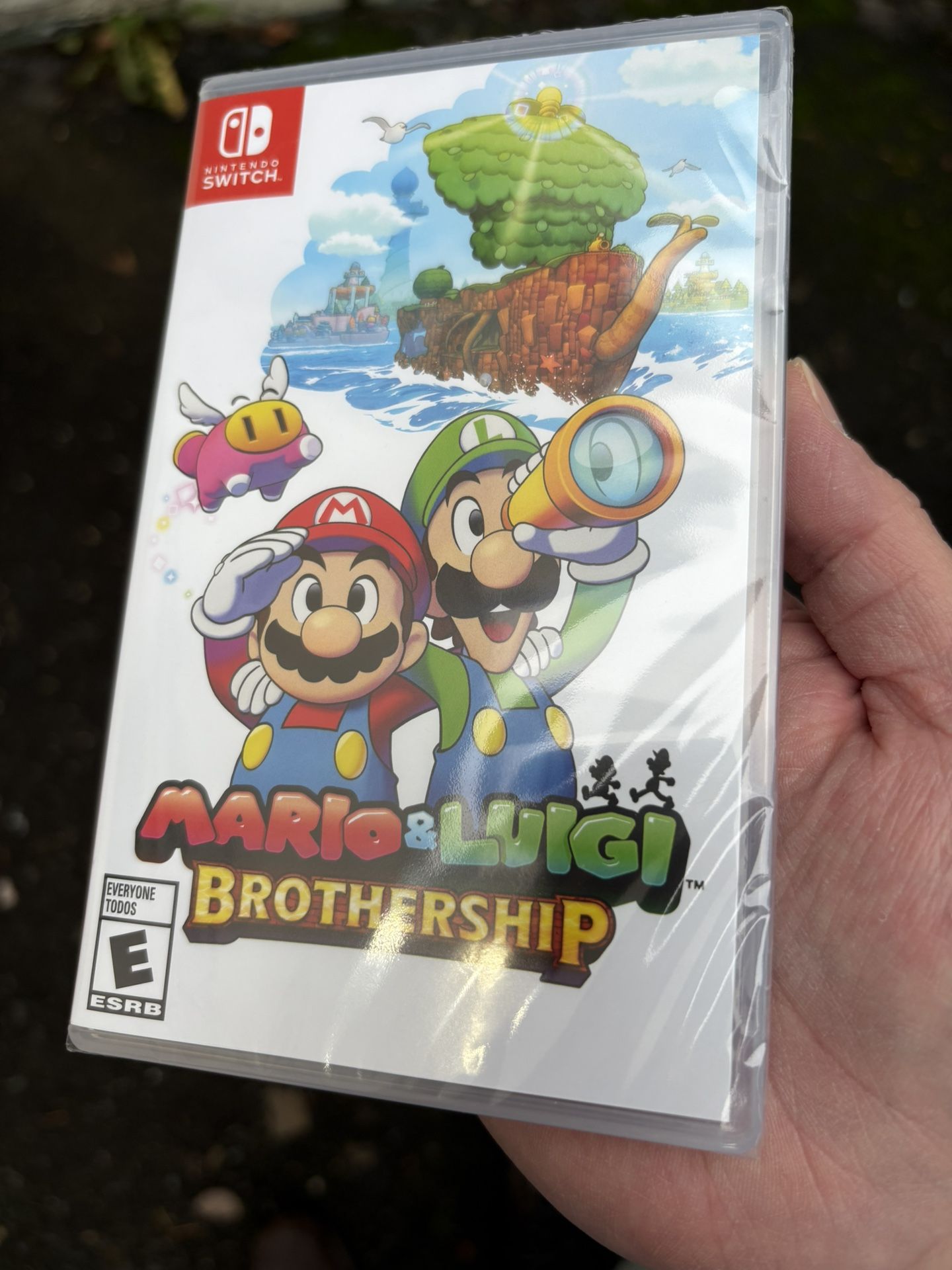 mario and luigi brothership nintendo switch game New