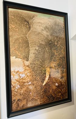Photograph Framed Art 