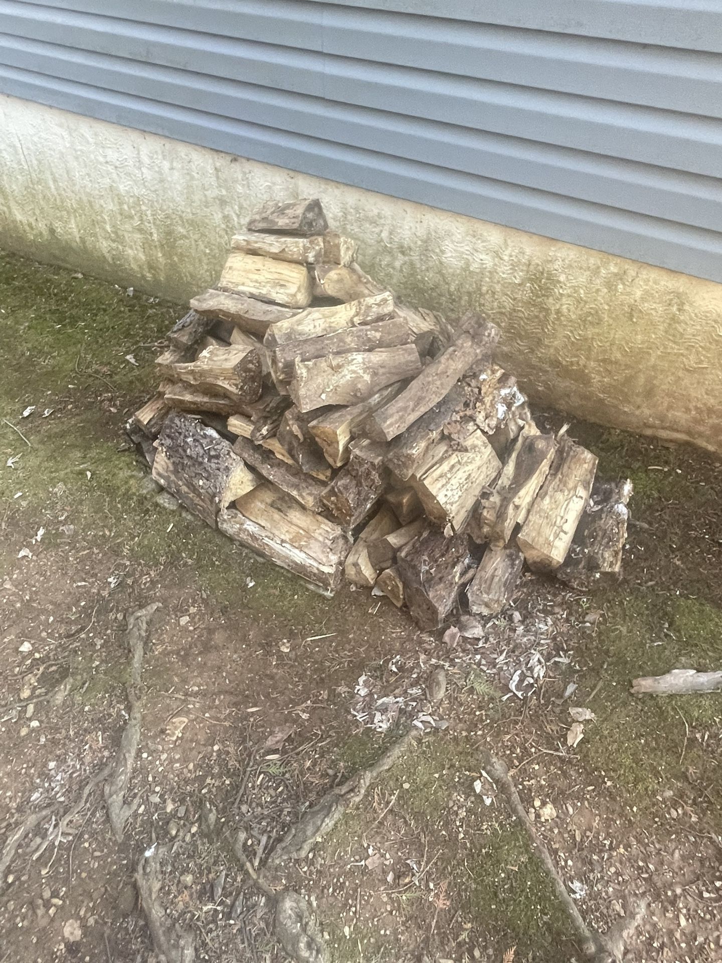 Firewood