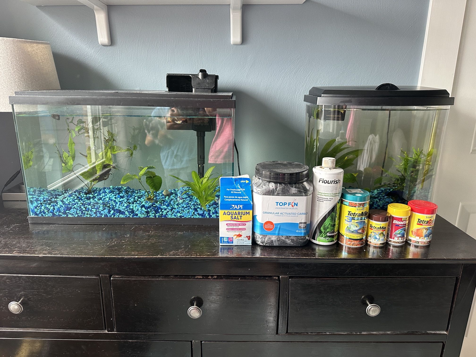 Two Fully Functioning Fish Tanks Plus Supplies