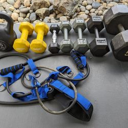 Assorted Dumbbells. Elastic Bands 