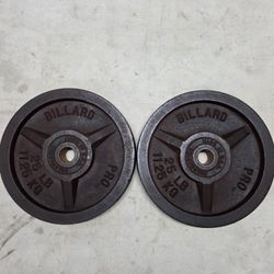      2 X 25 LBS STANDARD WEIGHTS 