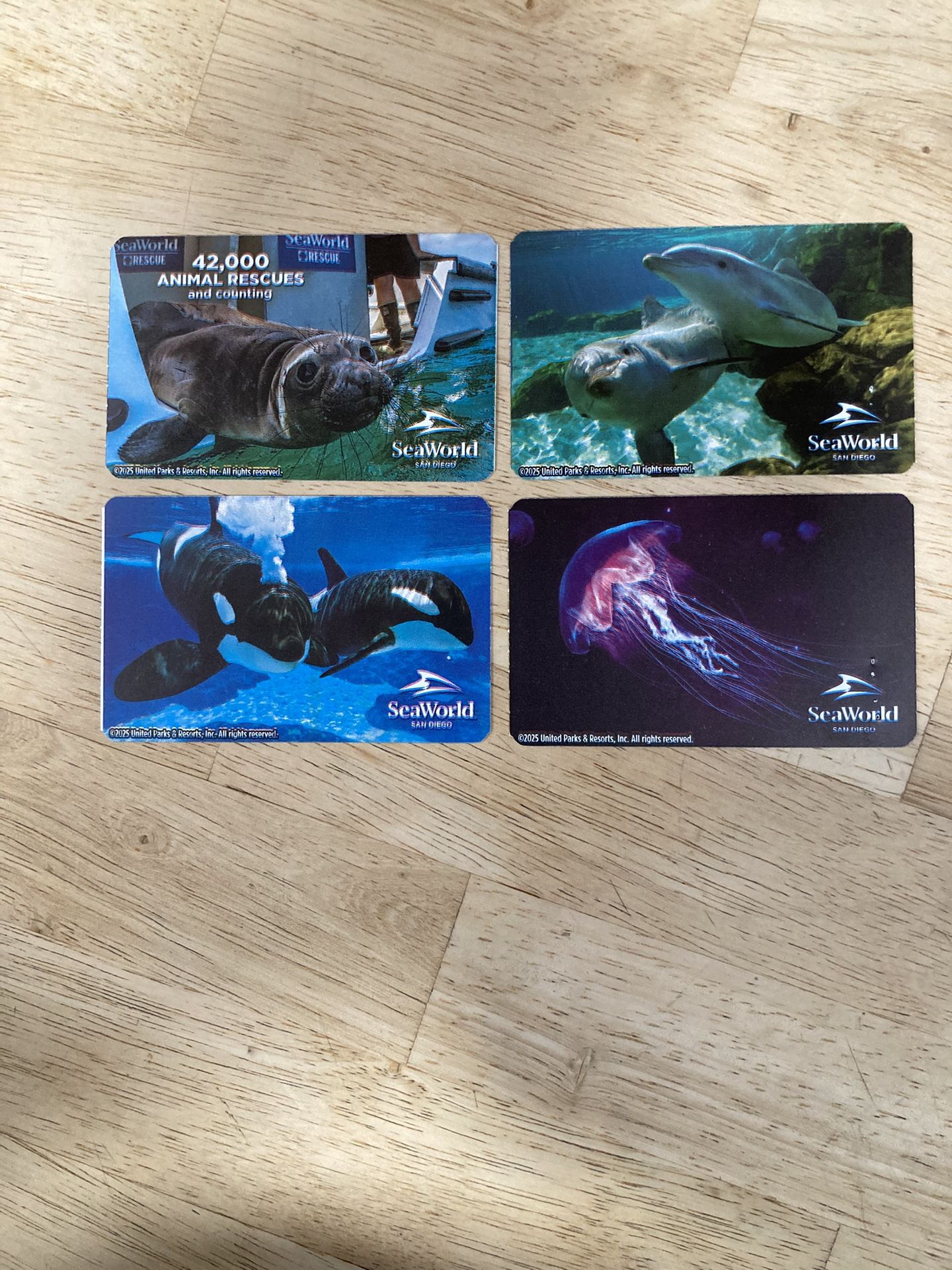 SeaWorld Tickets ๐๏ธ