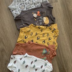 Baby Boy Clothes (3-6, 6-9,9-12)
