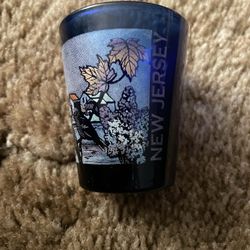 Two Blue State Shot Glasses 