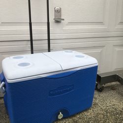 Large Cooler 