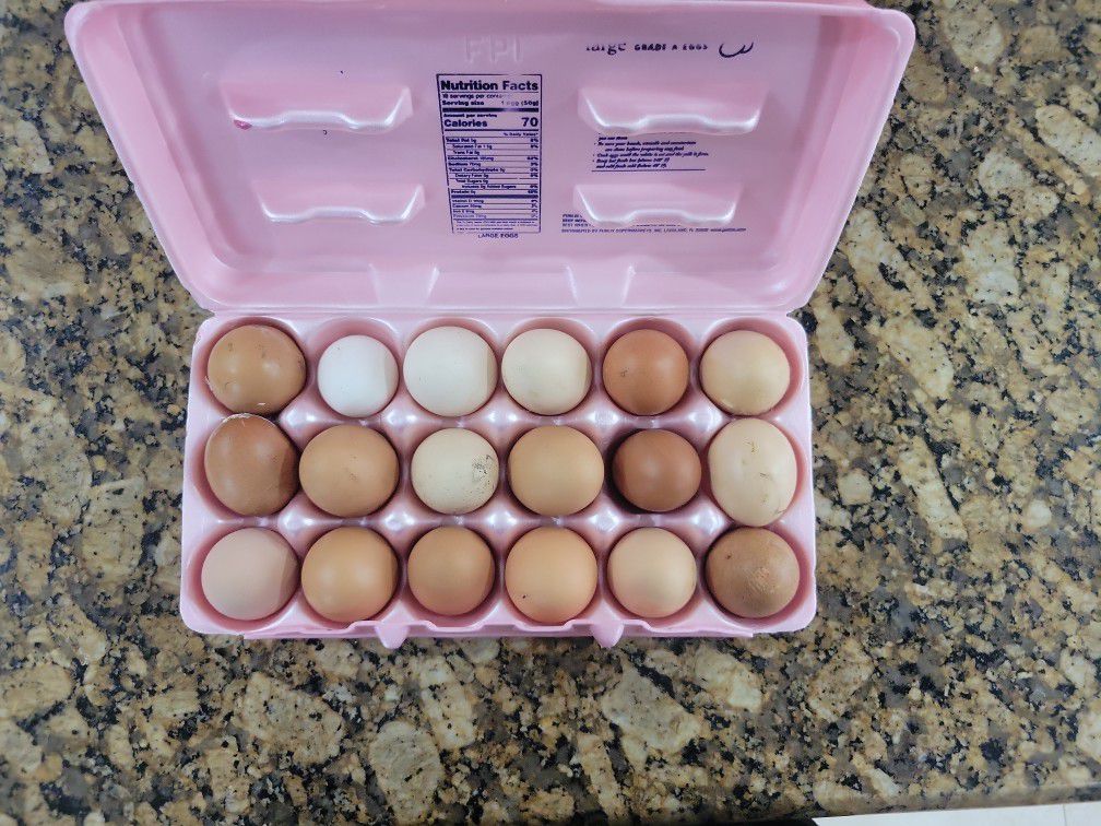Free-range Chicken Eggs.