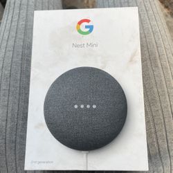 NEST MINI 2 GENERATION 