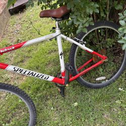 Specialized bike