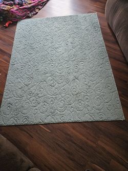 Nice Light Teal Area Rug Practically Brand New