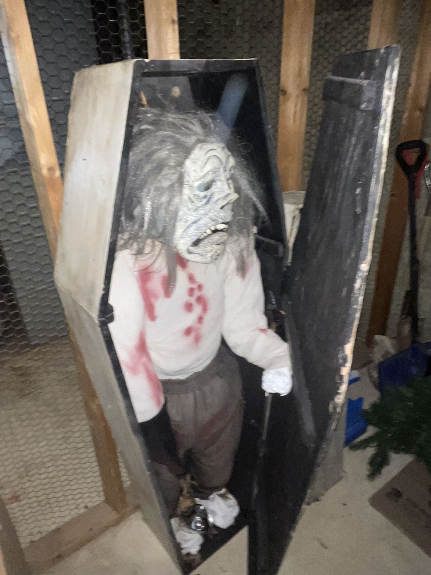 Halloween Decorations