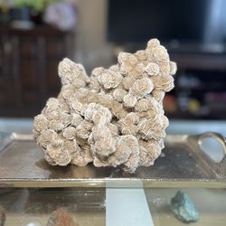 Desert Rose Gypsum Crystals Cluster