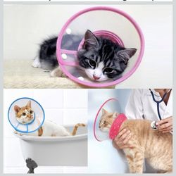 Collar for Puppies, Small Dogs, and Cats