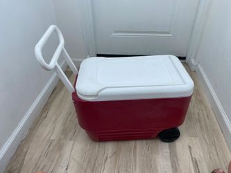 Cooler