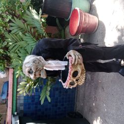 Halloween Haunted Butler