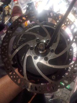 Hub Motor Radpower Bike