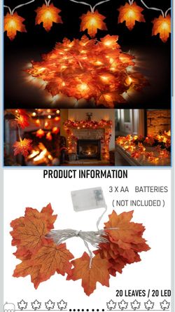 Fall Lights (battery operated)