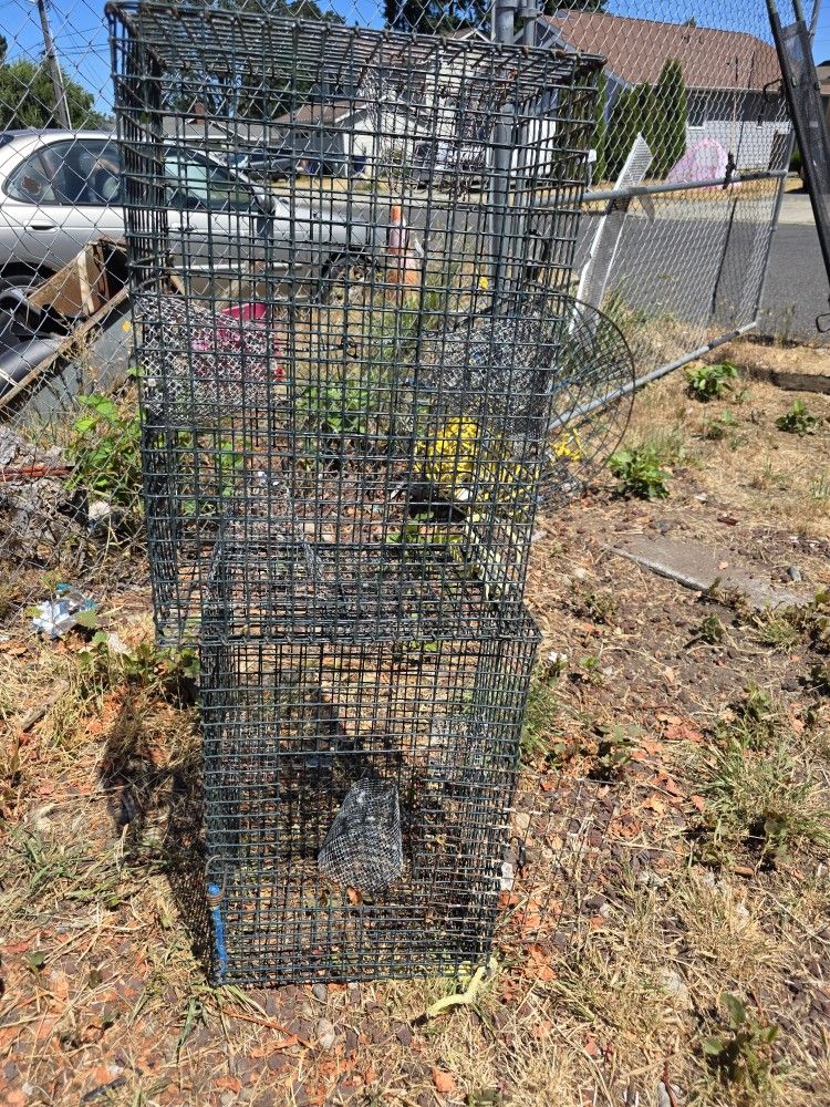Shrimp Pots