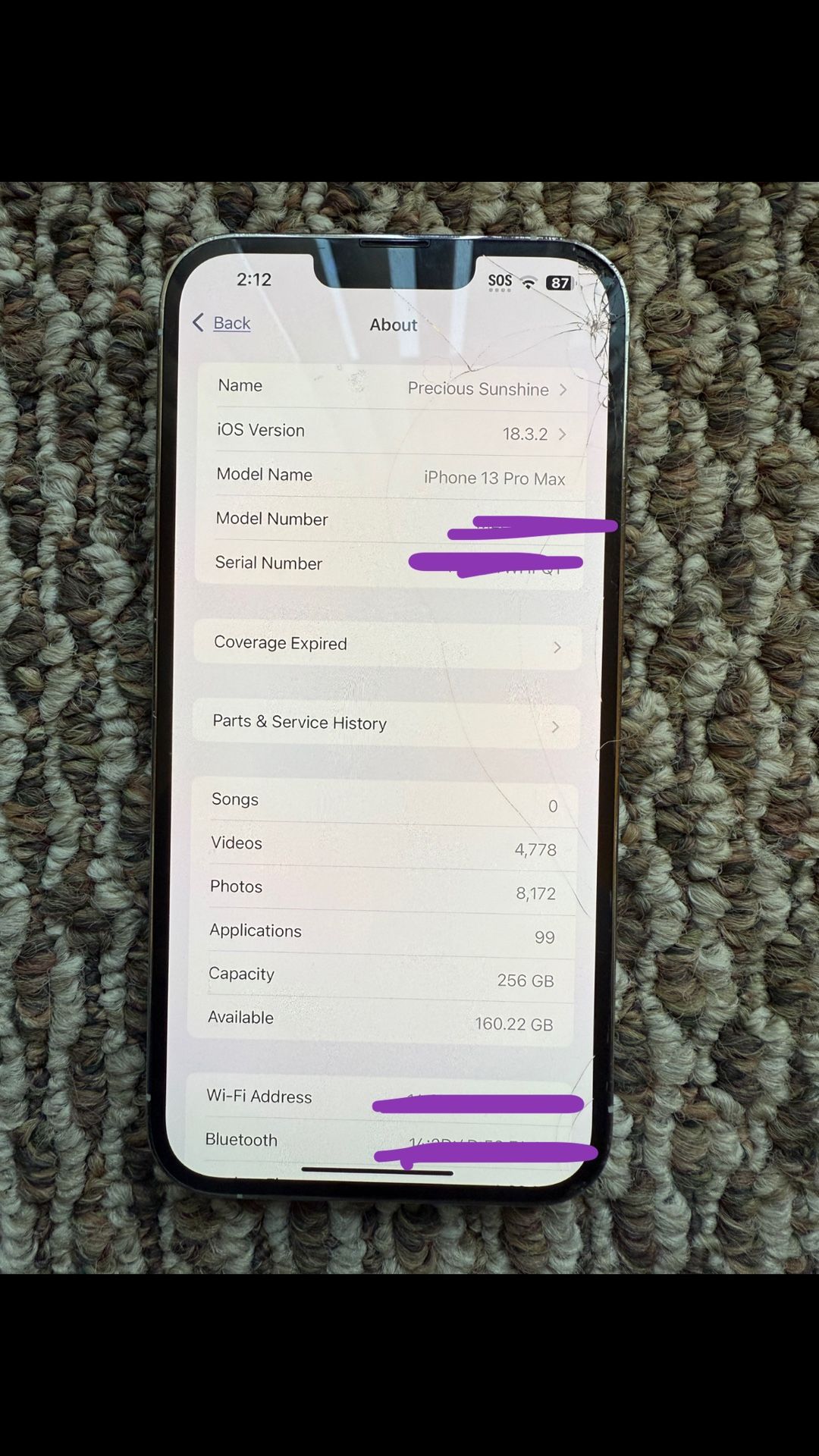 iPhone 13 Pro Max
