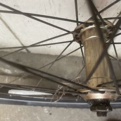 Mountain Bicycle Tires And Rims 
