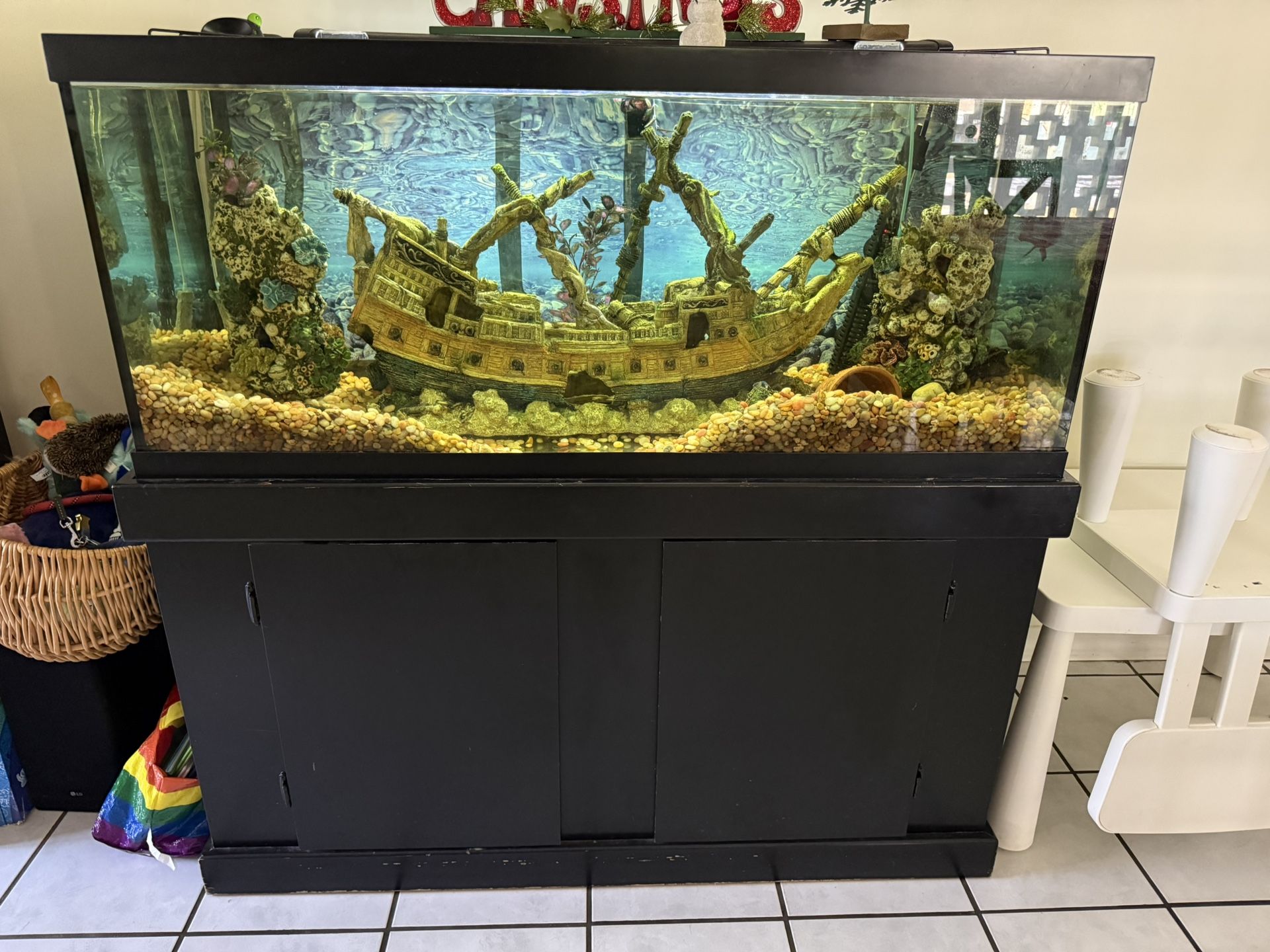90 Gallon Fresh Water Fish Tank!!!