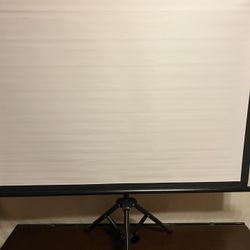 Projector Screen
