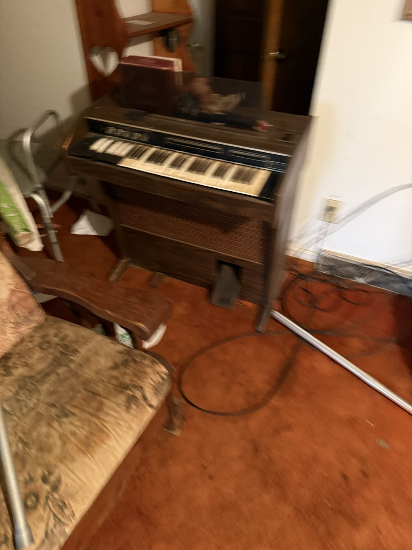 Organ