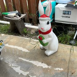 🐇 Conejo Rabbit 