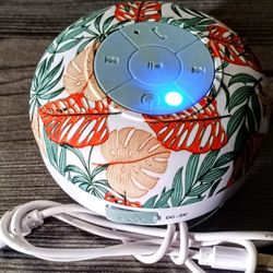 Bluetooth Wireless Shower Speaker