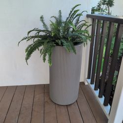 SET:  garden potted plant pots terracotta look concrete resin  selling all three. Plants not include