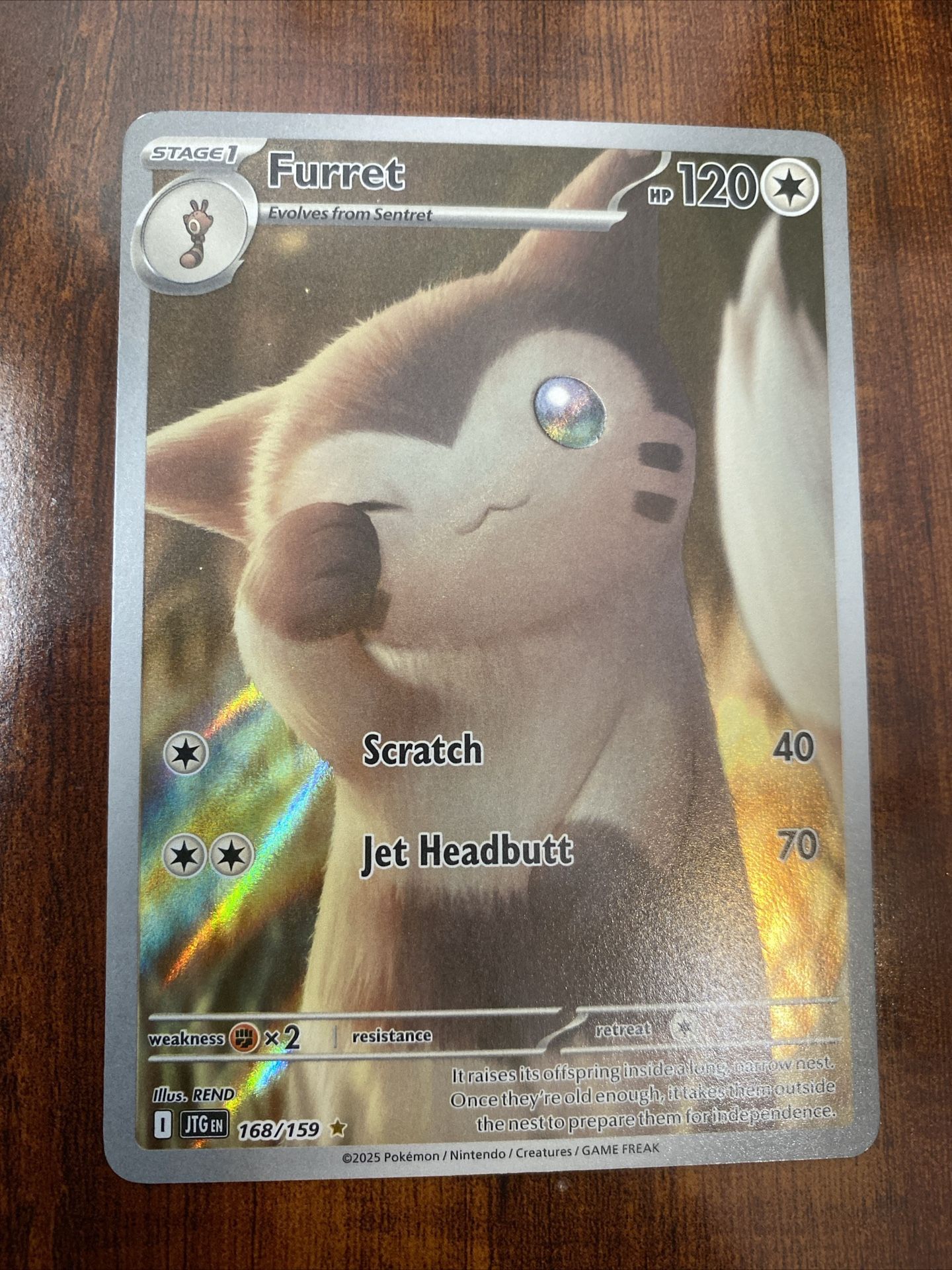 Pokemon Furret 168/159 Journey Together Illustration Rare Full Art Holo NM