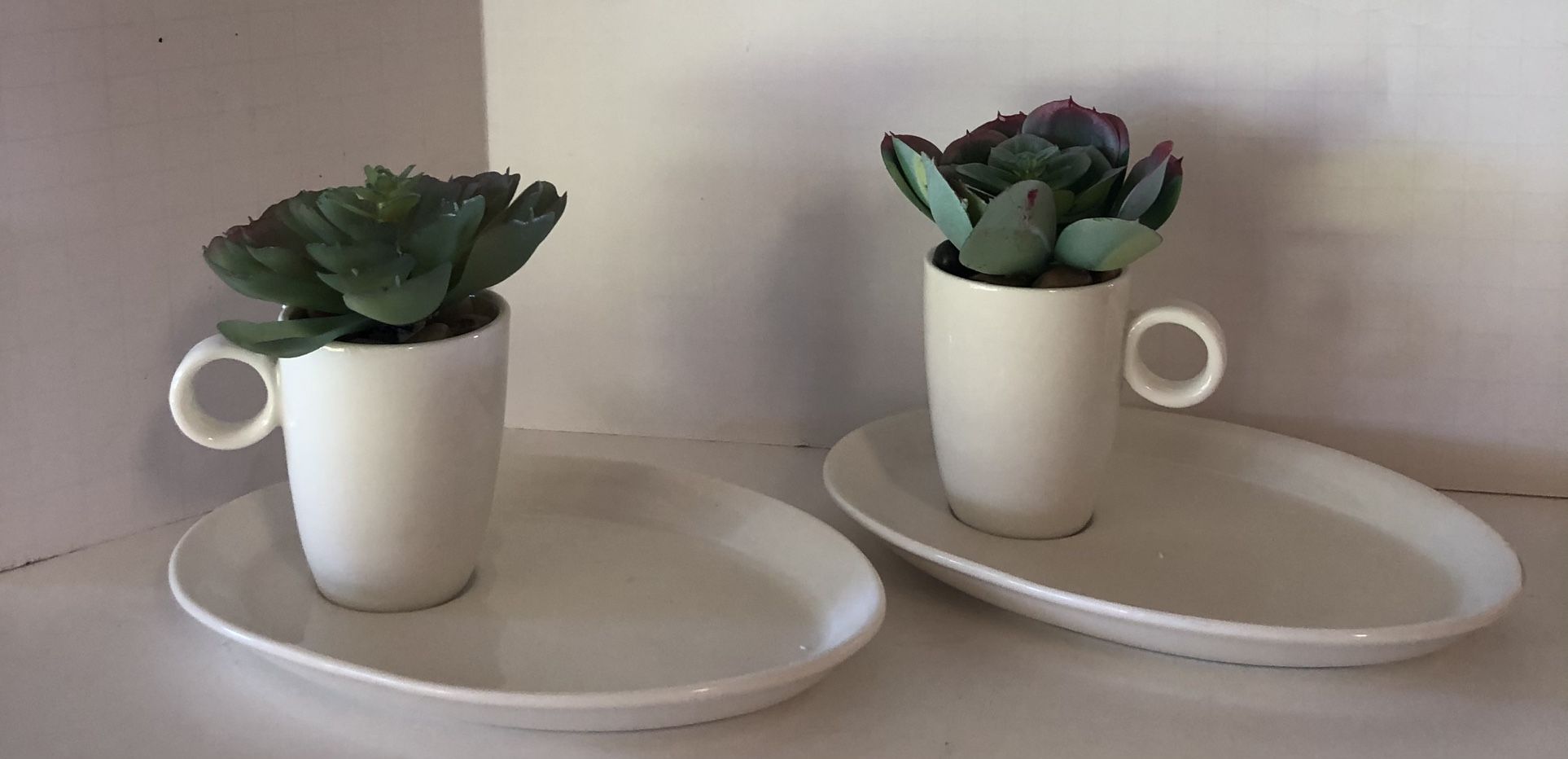 🙋‍♀️ 2 Pc Coffee Cups and Saucers Faux Succulents