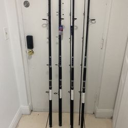 Fishing Rods 