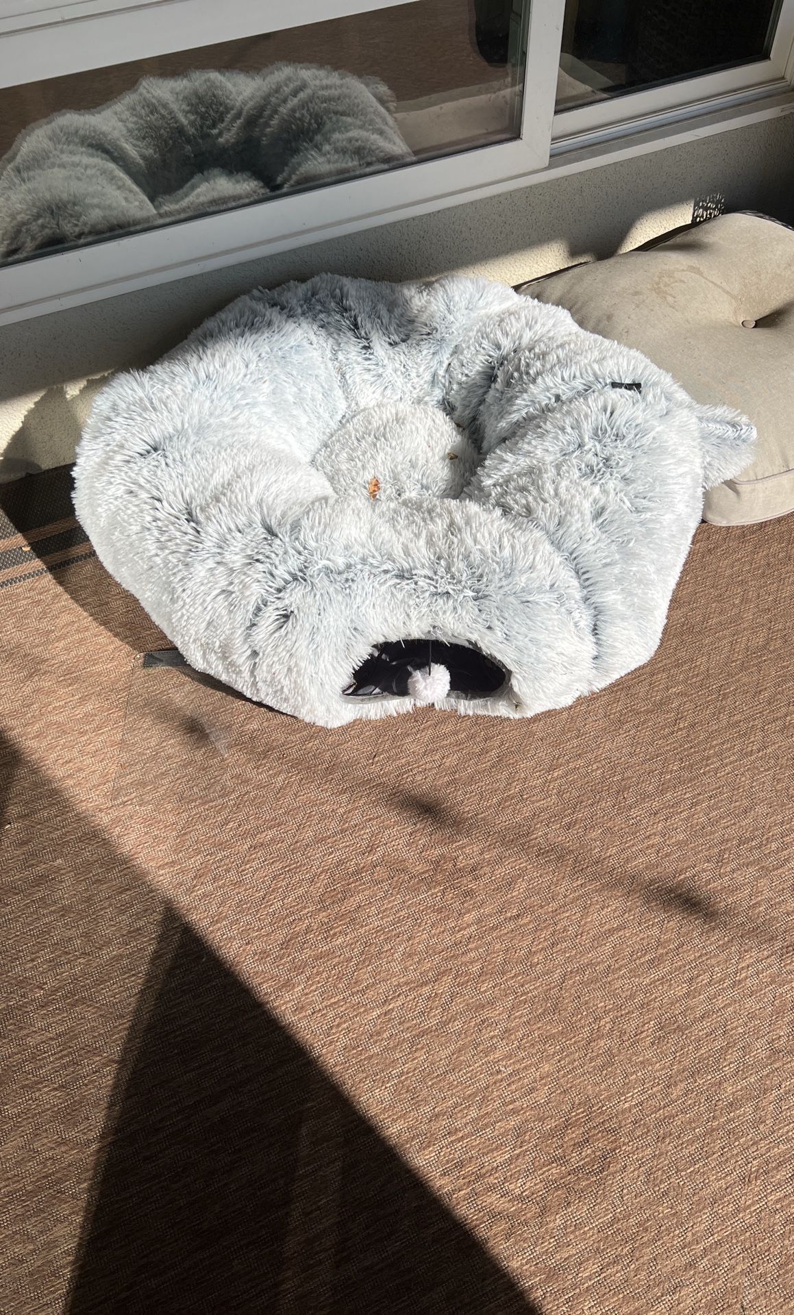Cat Tunnel