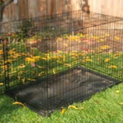 Dogs Cage 
