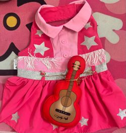 Dolly Parton Doggie Dress set