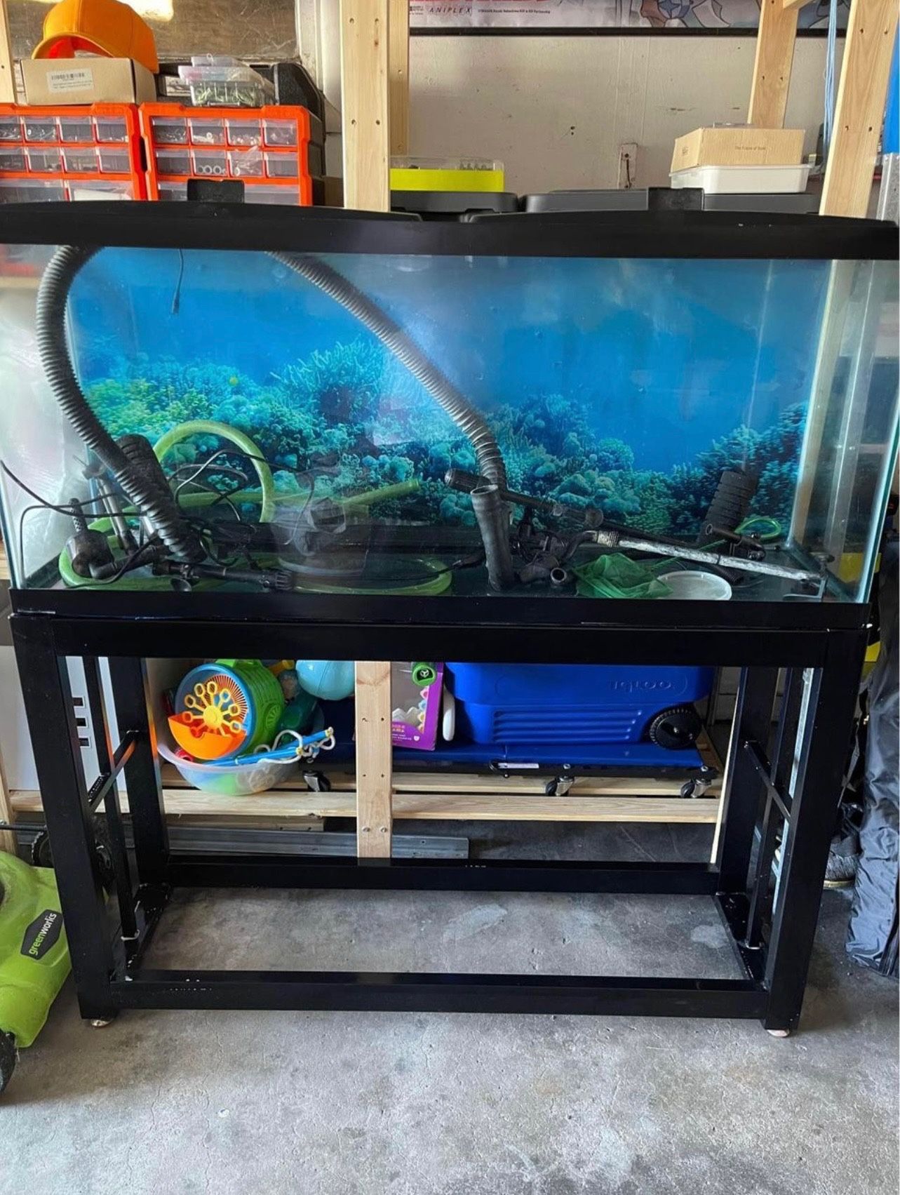 54 Gallon Fish tank With Base