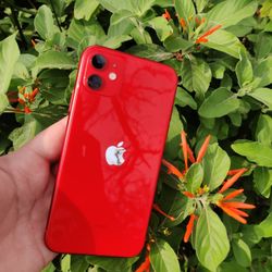 iPhone 11 Liberado Red🔓 Spring special ☘️