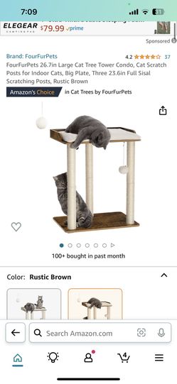 Cat House