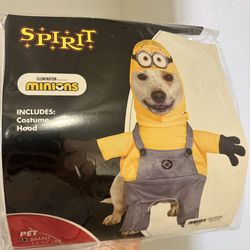 Dog Costume