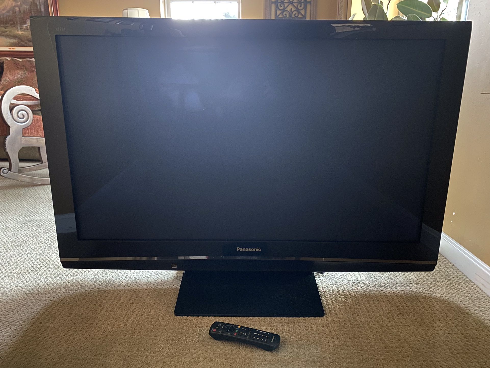 50” Panasonic HD TV; 15 year old technology, but works great, good HD and good sound; stream with a Roku device provided. Not a smart TV.