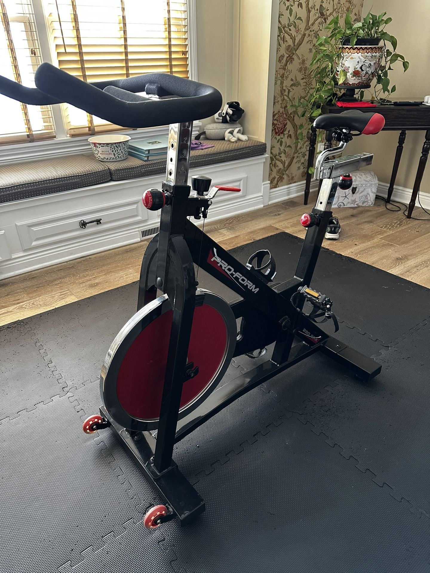 ProForm Exercise Bike