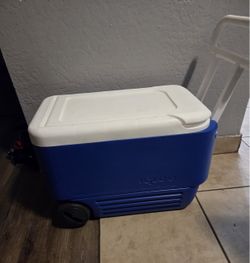 Igloo Wheelie Cooler 38QT