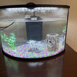 TFcorner tank,6 gallon aquarium