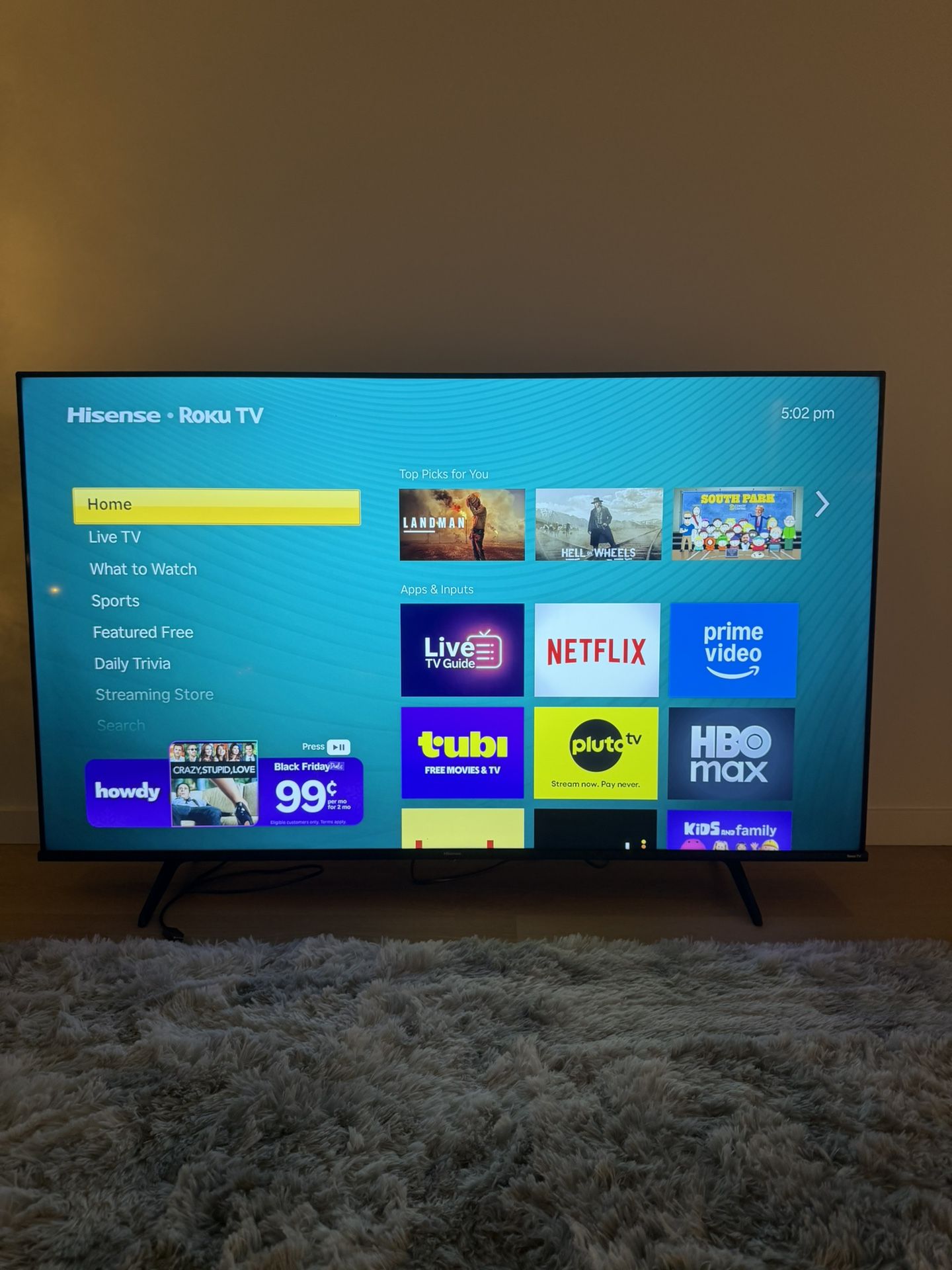 Roku Tv 