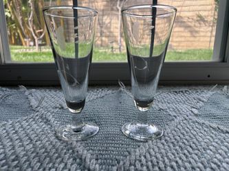 Princess House Pilsner Glasses