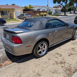2002 Ford Mustang 