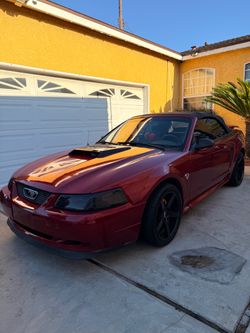 Ford Mustang Convertible