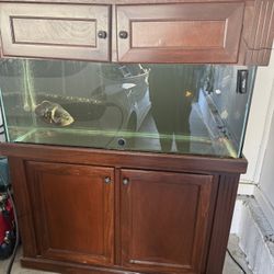 75 Gallon Fish Tank With Accessories. Negotiable 